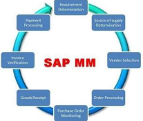 sap material management